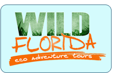Wild Florida eco adventure tours
